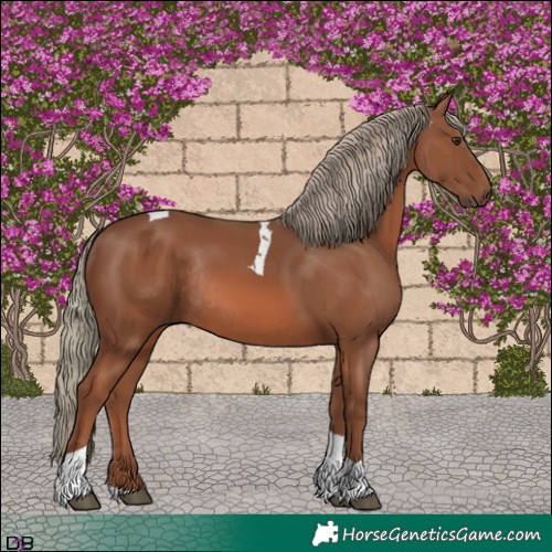 Horse Color:Chestnut Mushroom Tobiano Rabicano 