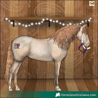 Horse Color:Classic Champagne Pearl 