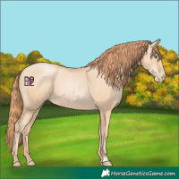 Horse Color:Classic Champagne Pearl 