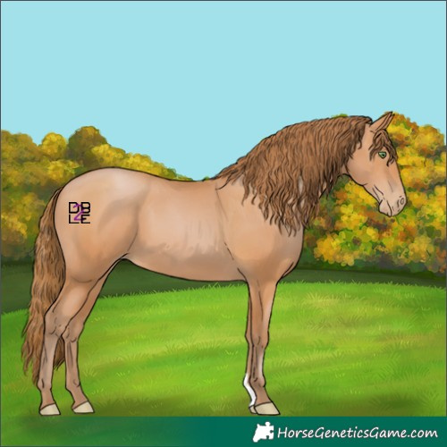 Horse Color:Bay Pearl 