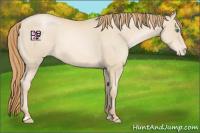 Horse Color:Smoky Black Pearl Varnish 