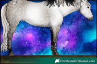 Horse Color:Gray Silver Grullo Tobiano Rabicano 
