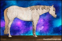 Horse Color:Red Dun Ice Rabicano
