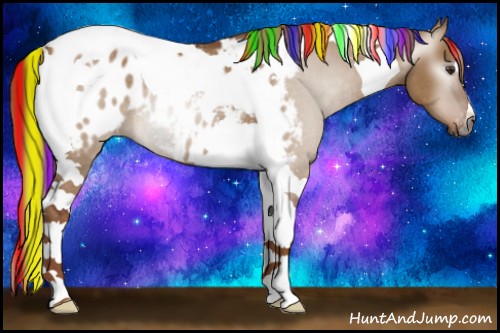 Horse Color:Gray Painted Red Dun Tobiano Blanket Rabicano