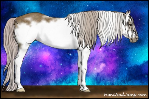 Horse Color:White Spotted Silver Black Splash Frame Rabicano