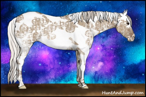 Horse Color:White Spotted Silver Smoky Grullo Ice Rabicano 
