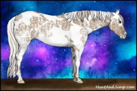 Horse Color:White Spotted Silver Smoky Grullo Ice Rabicano 