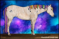 Horse Color:Painted White Spotted Red Dun Ice Rabicano