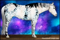 Horse Color:White Spotted Bay Ice Dun Tobiano Rabicano 