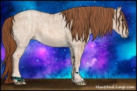 Horse Color:Red Dun Ice Rabicano