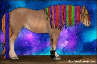 Horse Color:Painted Chestnut Rabicano