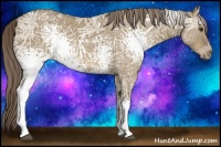 Horse Color:White Spotted Chocolate Palomino Ice Dun Rabicano 