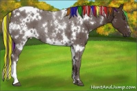 Horse Color:Painted White Spotted Liver Chestnut 