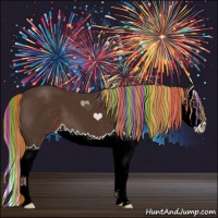 Horse Color:Painted Liver Chestnut Splash 