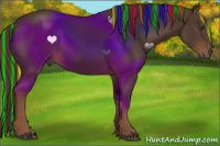 Horse Color:Painted Liver Chestnut