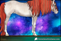 Horse Color:Painted Classic Champagne Ice Onyx Varnish 