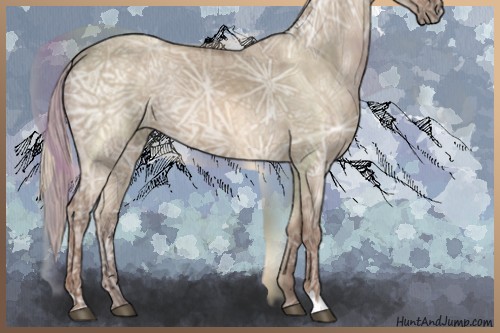 Horse Color:Silver Grullo Ice 