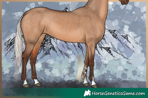 Horse Color:Silver Brown Dun 