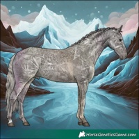 Horse Color:Silver Black Ice 