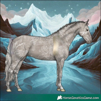 Horse Color:Silver Grullo Ice 