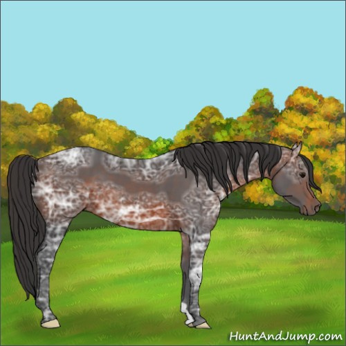 Horse Color:Brown Ice 
