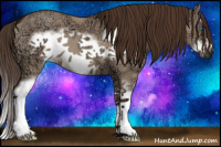 Horse Color:Liver Red Dun Ice Sabino Splash Frame 