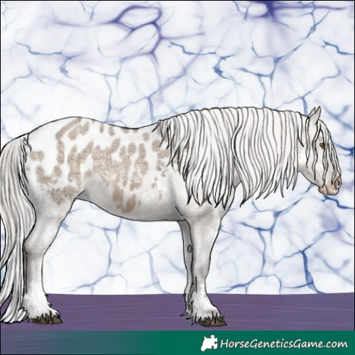 Horse Color:Silver Brown Ice Dun Mushroom Sabino Appaloosa 