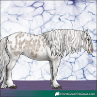 Horse Color:Silver Brown Ice Dun Mushroom Sabino Appaloosa 