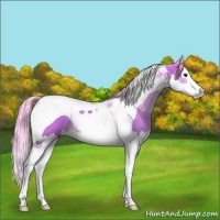 Horse Color:Watercolor Brown Splash Tobiano 