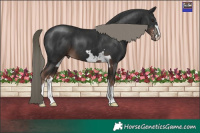 Horse Color:Liver Chestnut Mushroom