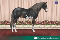 Horse Color:Liver Chestnut Mushroom 