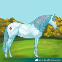 Horse Color:Nacre Thunderstruck Sable Champagne Roan Blanket 