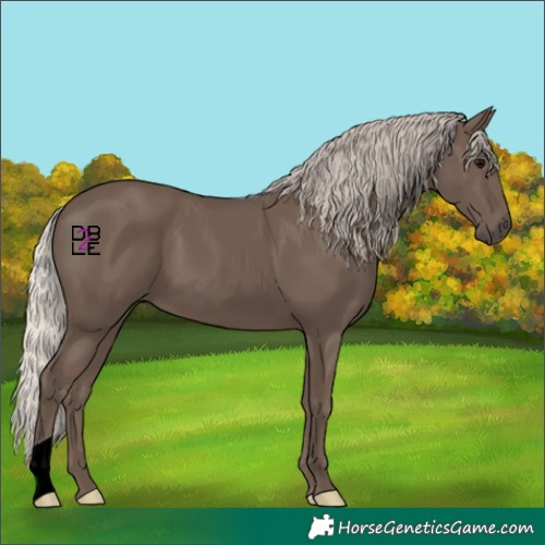 Horse Color:Silver Black 