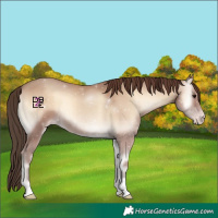 Horse Color:Classic Champagne Onyx 