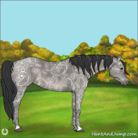 Horse Color:Grullo Ice 