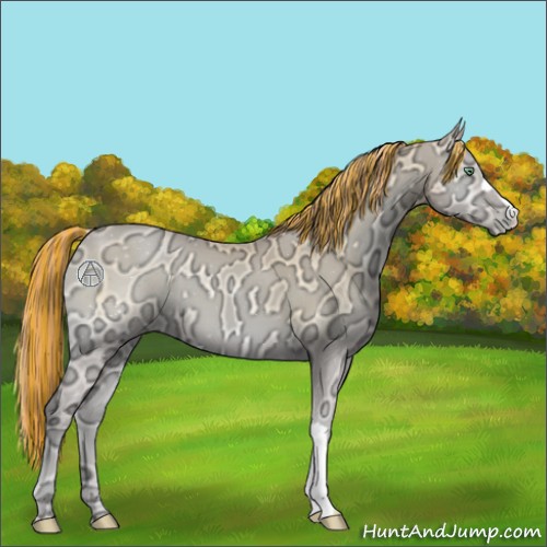 Horse Color:Painted Buckskin Ice Pearl Onyx