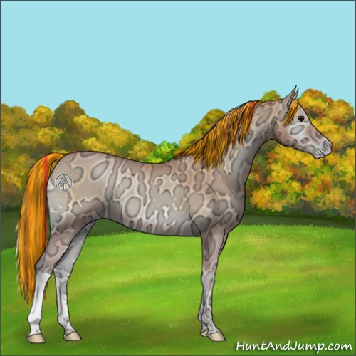 Horse Color:Painted Bay Ice Pearl Onyx 