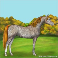 Horse Color:Painted Bay Ice Pearl Onyx 