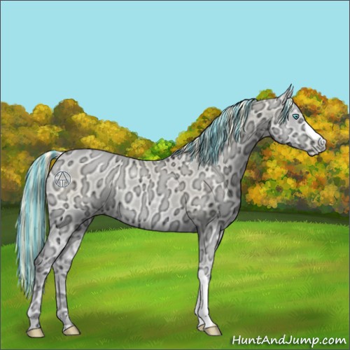 Horse Color:Painted Amber Cream Champagne Ice Pearl Onyx 
