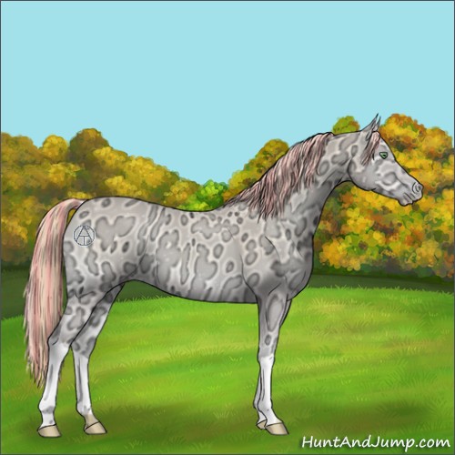 Horse Color:Painted Perlino Ice Onyx 