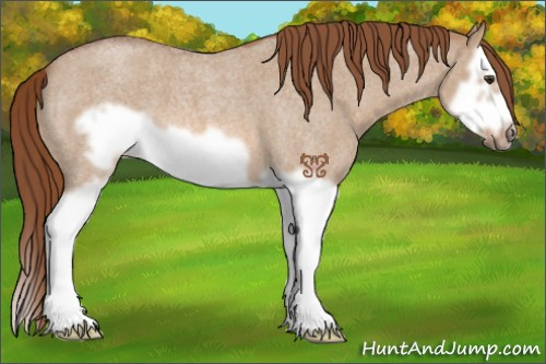Horse Color:Red Dun Roan Splash Frame