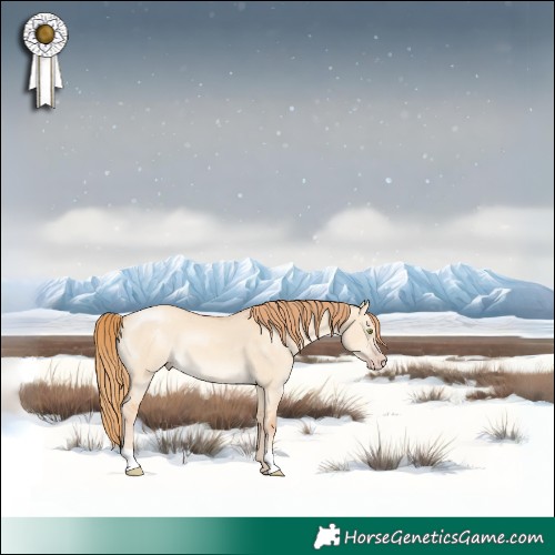 Horse Color:Gold Champagne Dun 