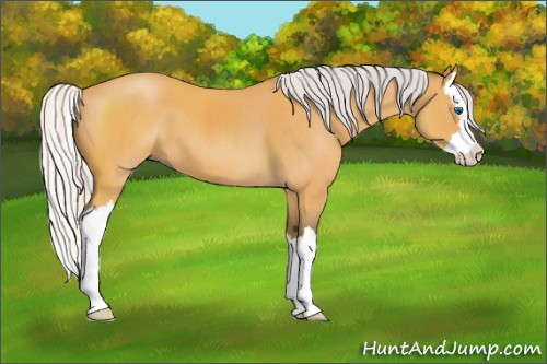 Horse Color:Silver Buckskin Roan Splash 