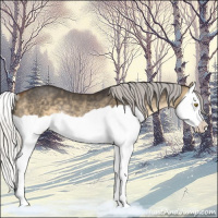 Horse Color:Silver Buckskin Dun Splash Rabicano 