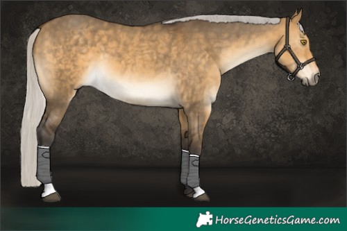 Horse Color:Silver Buckskin Dun 