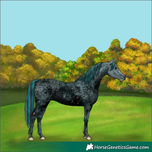 Horse Color:ERROR: UNKNOWN ANOMALY