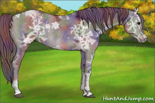 Horse Color:Nacre Chocolate Grullo Ice 