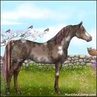 Horse Color:Painted Liver Red Dun Ice 