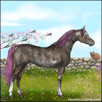 Horse Color:Painted Liver Red Dun Ice 