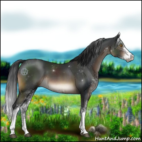 Horse Color:Brown Sabino 